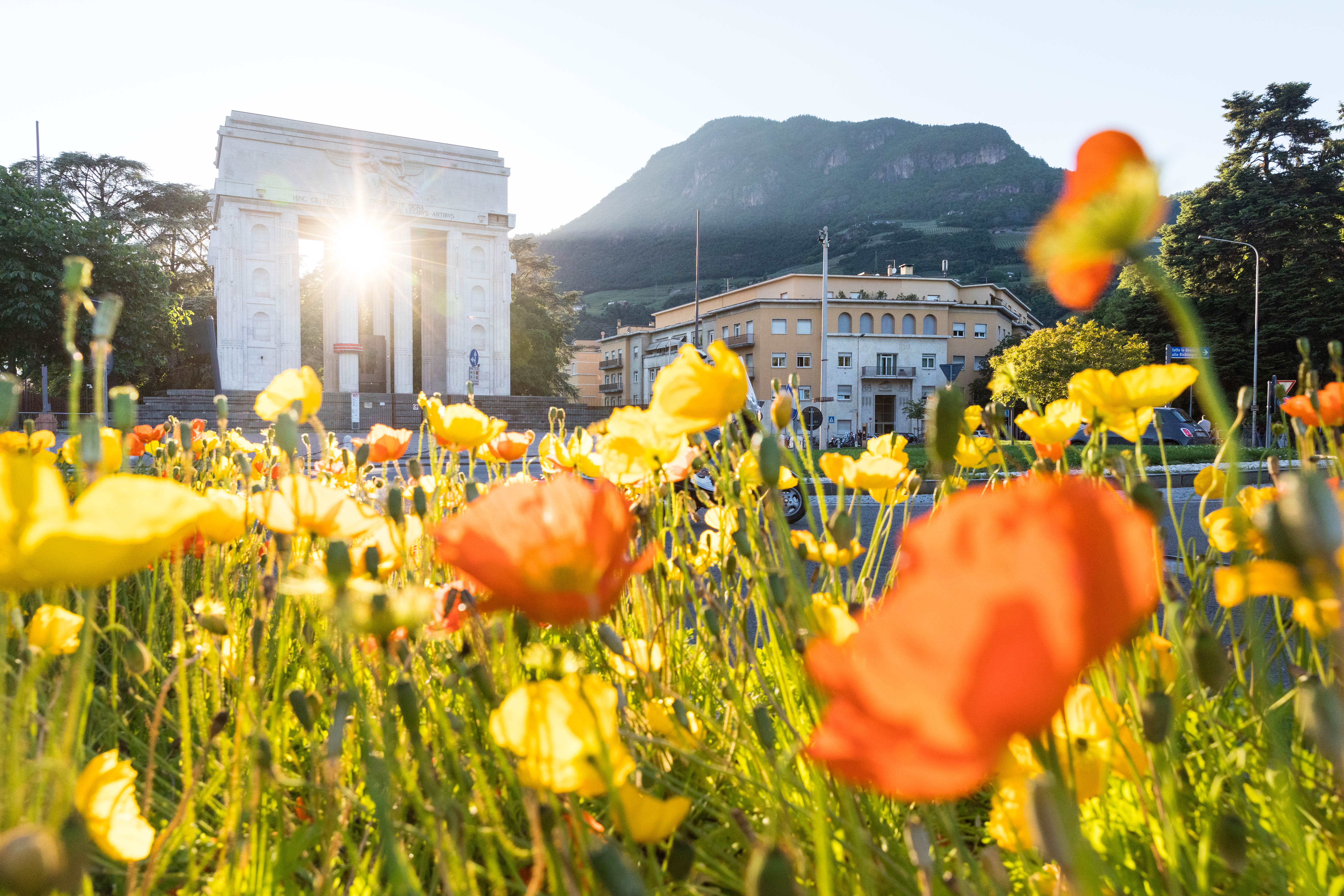 Siegesdenkmal, Blumen, Fruehling, Siegesplatz, eines der bedeutendsten Monumente aus der Zeit des Faschismus, Bozen, Suedtirol, Italien, EuropaEngl.: Victory Monument, flowers, spring, Victory Square, one of the most important monuments from the time of fascism, Bolzano, South Tyrol, Italy, EuropeII Stadtportrait Bozen