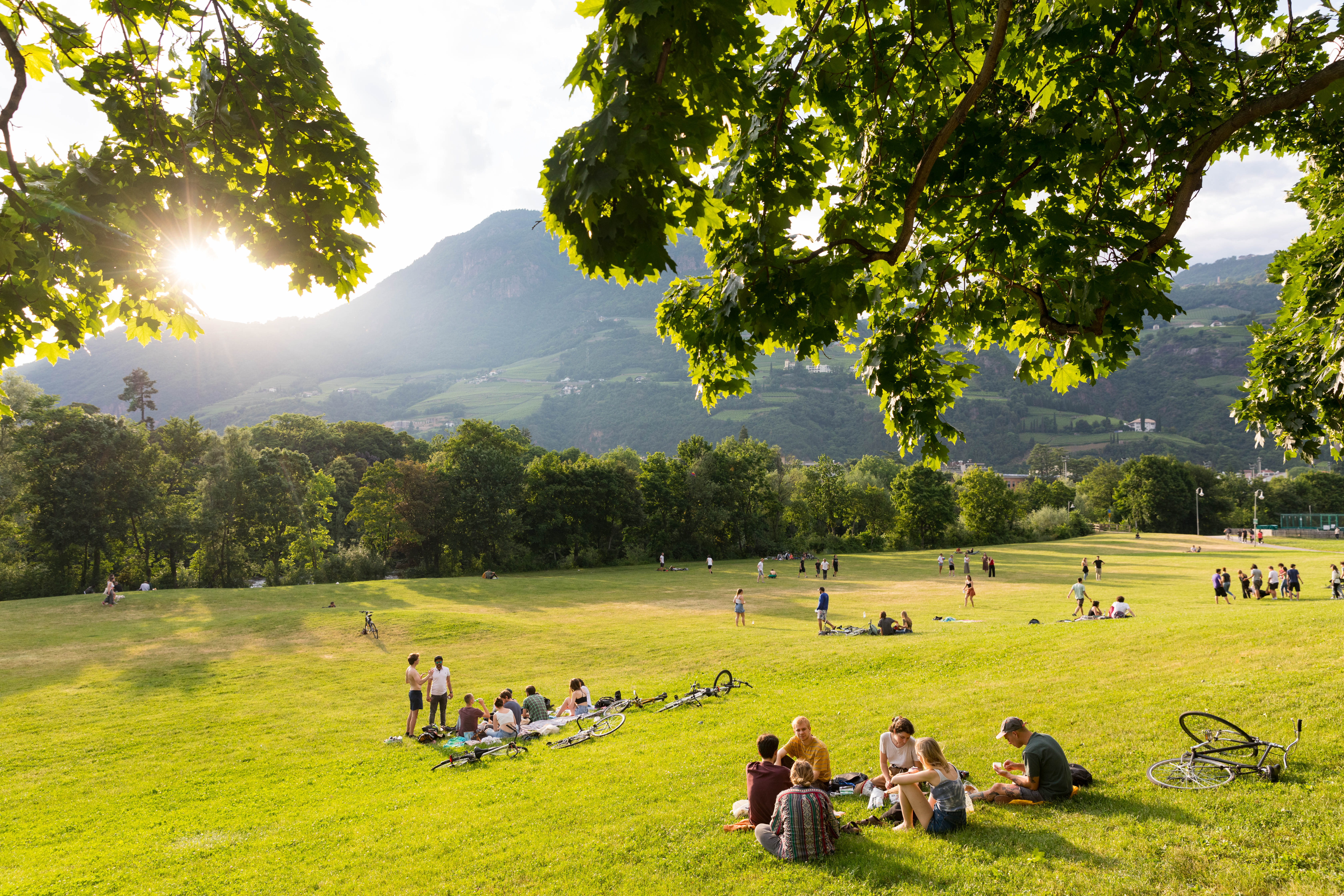 Talferpromenade, Picknick an den Talferwiesen, grosse Freiflaeche in der Innenstadt am Fluss Talfer, Sommer, Sommerfrische, Naherholung, Bozen, Suedtirol, Italien, Europa Engl.: Talferpromenade, picnic at the Talferwiesen, large open space in the city center on the river Talfer, summer, summer resort, local recreation, Bolzano, South Tyrol, Italy, EuropeII Stadtportrait Bozen